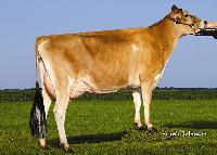 JxAhlemPerryCora50062(6)