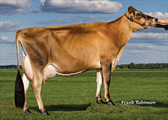 Ahlem Jupiter Princess 40390
