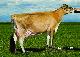 Ahlem Legal Wyn 35647 RSID