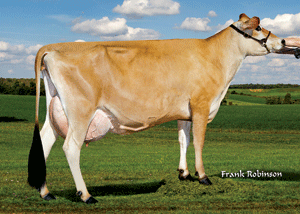 AhlemPerformSunspryt43249