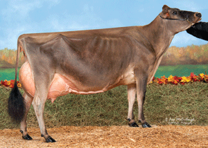 CascadiaIatolaPuzzle