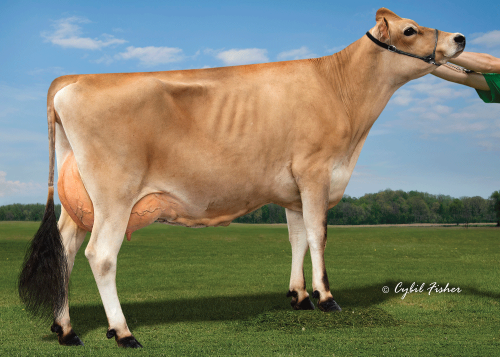 Dutch Hollow Reno Hostess