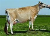 Jars of Clay Venerable 1771 2620-P (EX-90)